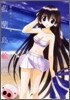 藤代健イラスト集 藍蘭島繪卷