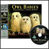 Owl Babies : Story Book and DVD