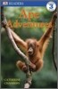 DK Readers Level 3 : Ape Adventures