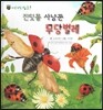 꼬마 자연관찰 빙고! 41 진딧물 사냥꾼 무당벌레