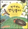 꼬마 자연관찰 빙고! 44 반짝반짝 반딧불이