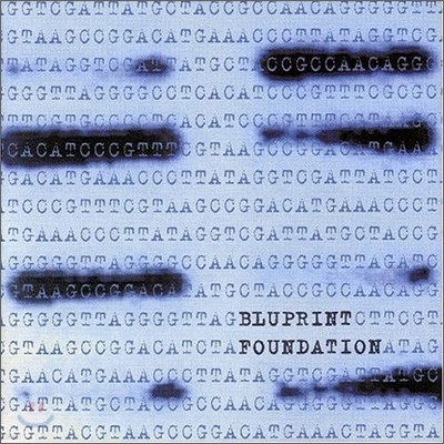 Blueprint - Foundation