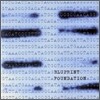 Blueprint - Foundation