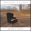 Snarky Puppy (스나키 퍼피) - Culcha Vulcha