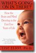 What's Going on in There?: How the Brain and Mind Develop in the First Five Years of Life