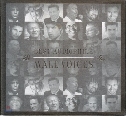 베스트 오디오파일 남성 보이시스 (Best Audiophile Male Voices)