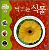 싹 트는 식물