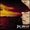 Dr. John (닥터 존) - Sippiana Hericane