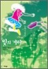 빛의 거리
