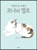 가족이 된 고양이 모냐와 멀로