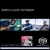 James & Lucky Peterson (제임스 & 럭키 피터슨) - If You Can’t Fix It