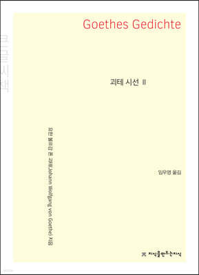 괴테 시선 2 (큰글자책)