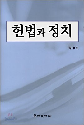 헌법과 정치