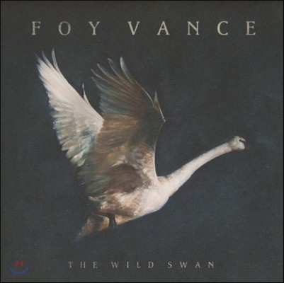 Foy Vance (포이 반스) - The Wild Swan 