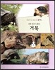 올빼미 자연관찰 69 갑옷 입은 느림보 거북 (양서류류)