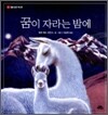 꿈이 자라는 밤에