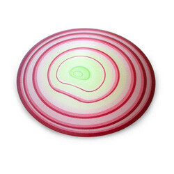 다목적 도마 Onion