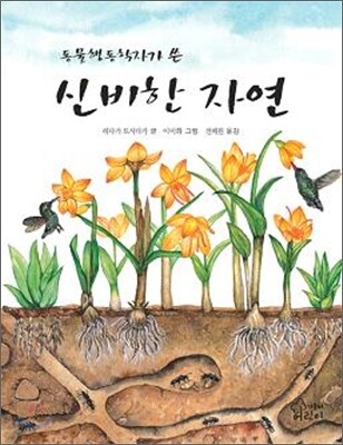신비한 자연
