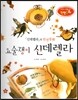 창의력과 사고력을 키우는 반전동화 : 「신데렐라」의 반전동화 요술쟁이 신데렐라