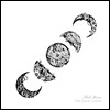 더 시크릿 코드 (The Secret Chord) - Full Moon