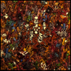 Dance Gavin Dance - Tree City Sessions (LP+CD)