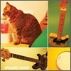Afterpilot - Foxtail