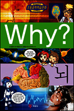 Why? 와이 뇌