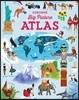 Big Picture Atlas
