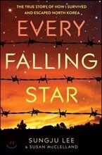 Every Falling Star