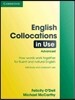 English Collocations In Advanced Use