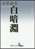 白暗淵