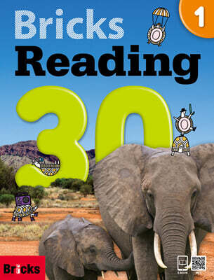 Bricks Reading 30 1