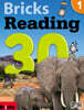 Bricks Reading 30 1