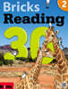 Bricks Reading 30 2