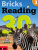 Bricks Reading 30 3