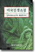 미국전쟁소설