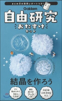 自由硏究おたすけキット 結晶を作ろう