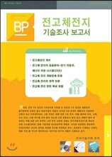 전고체전지 기술조사 보고서