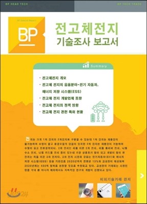 전고체전지 기술조사 보고서