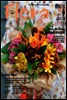 월간 FLORA 2011년 9월호
