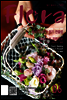 월간 FLORA 2011년 6월호