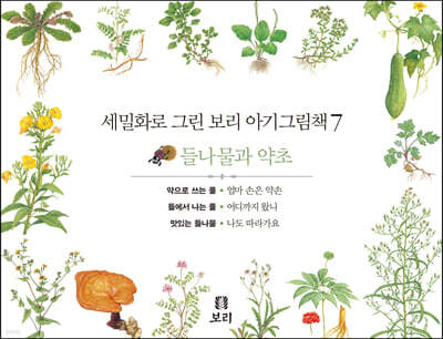 세밀화로 그린 보리 아기그림책 7