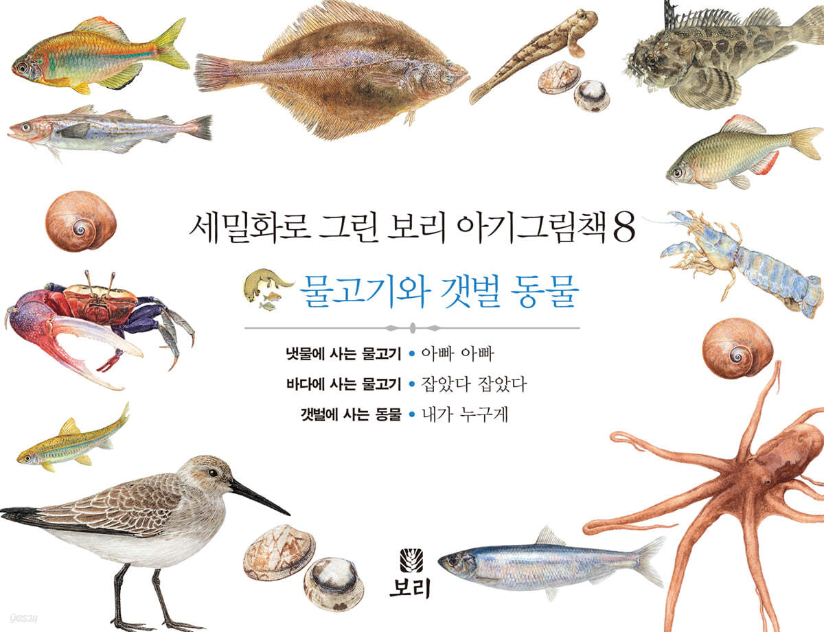 세밀화로 그린 보리 아기그림책 8