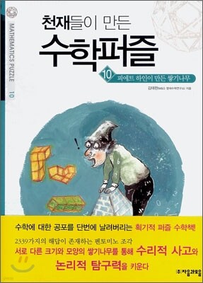 피에트 하인이 만든 쌓기나무