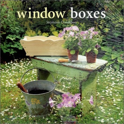 Window Boxes