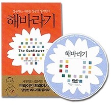 해바라기
