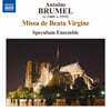 Speculum Ensemble 브뤼멜: 미사 '축복받은 동정녀' 외 (Brumel: Missa de Beata Virgine)