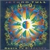Jethro Tull - Roots To Branches