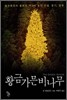 황금가문비나무