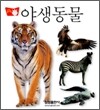 야생동물